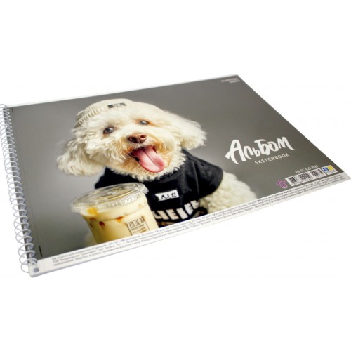 Альбом для малюв. на пруж. 20/100 А4 "Star" №PB-SC-020-8567/Школярик/(9)(108)