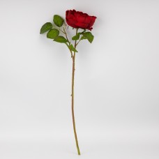 Троянда піоновидна червона 61см №2026-018/red