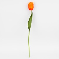 Тюльпан помаранчевий 45см №2025-016