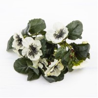 Букет "Братки білі" 25см №106F/white