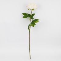 Півонія біла 60см №2025-005(24)