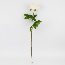 Півонія біла 60см №2025-005(24)