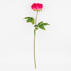 Півонія кремово-рожева 60см №2025-006(24)