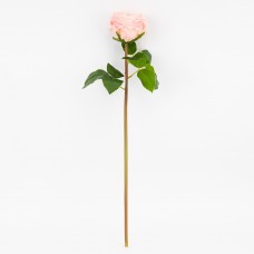 Троянда піоновидна пудрова 53см №2025-027(24)