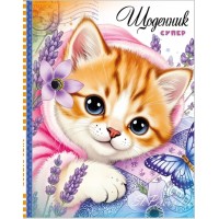 Щоденник шк. В5 №25266/9132 40арк. мат.лам./Мандарин/(10)