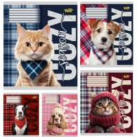 Зошит 12арк. кліт. /ТВ/ "Улюбленці" №ТА61111(25)(600)