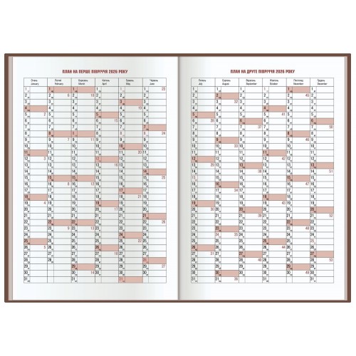 Щоденник A5 Economix датований 2025 Principe бузковий №E21690-12 (20)