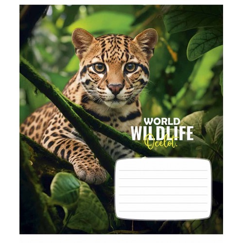 Зошит 18арк. лін. Школярик "Wildlife" ВД-лак №018-3679L(25)(250)