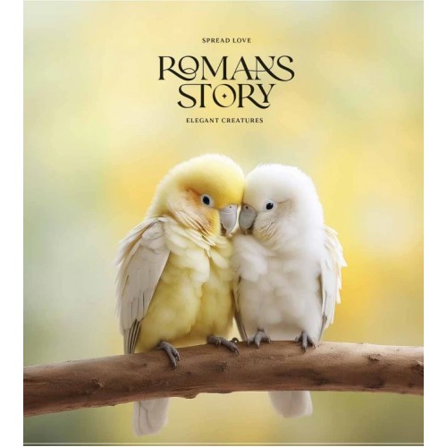 Зошит 48арк. кліт. Школярик "" ВД-лак №048-3571K