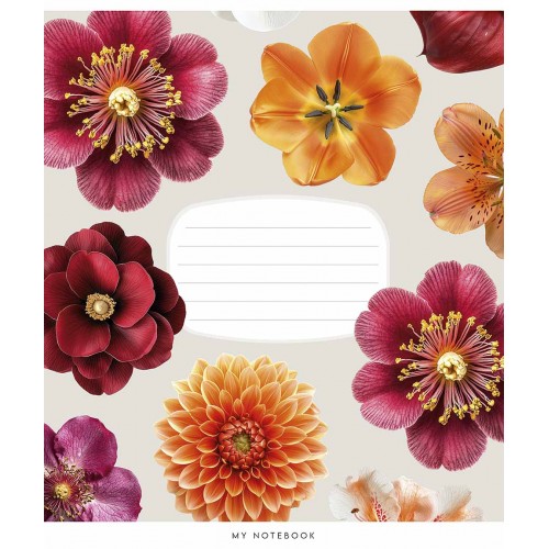 Зошит 24арк. кліт. Star (дівч) ВД-лак №024-3632K(25)(200)