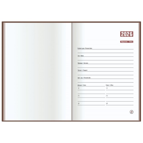 Ежедневник датированный 2025 Optima Stripe А5 черный O25285-01