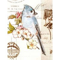 Фотоальбом "UFO" 20sheet S22х32 Bird