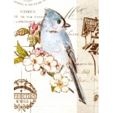 Фотоальбом "UFO" 20sheet S22х32 Bird