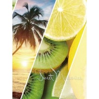 Фотоальбом "UFO" №PP-46200 10х15х200 Sea beach(24)