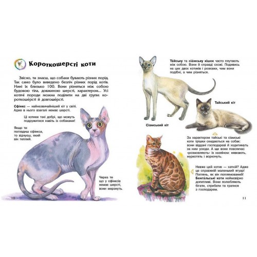 Енциклопедія дошкільника В5 м'як."Коти"(укр.) №2741/Ранок/(20)