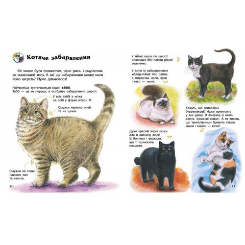 Енциклопедія дошкільника В5 м'як."Коти"(укр.) №2741/Ранок/(20)