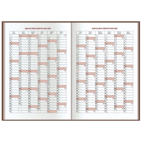 Щоден. А5 "Optima" дат2026 Fantasy бордо №O25225-18(20)