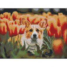 Алмазна мозаїка "Strateg" Коргі в тюльпанах 30х40см №FZ3040-31