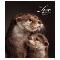 Зошит 96арк. кліт. Star УФ лак №096-3665K(5)(60)