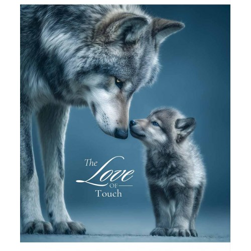 Зошит 96арк. кліт. Star УФ лак №096-3665K(5)(60)