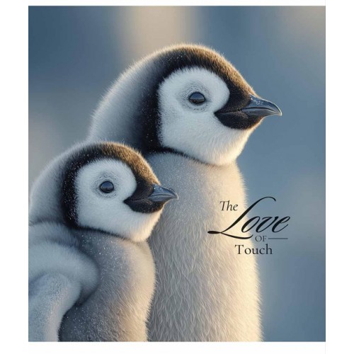 Зошит 96арк. кліт. Star УФ лак №096-3665K(5)(60)