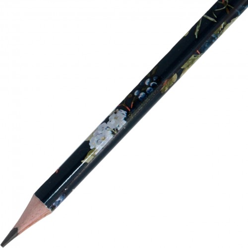 Олівець гр. "Axent" №9009/36-22-A Gorgeous(36)(432)