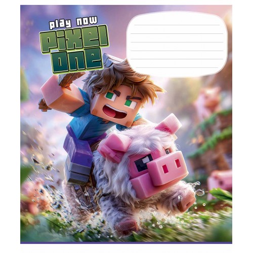 Зошит 12арк. кос.лін. Школярик ВД-лак №012-3749C(30)(300)