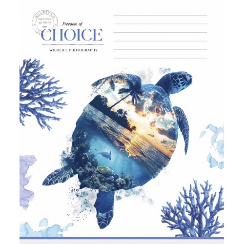 Зошит 18арк. кліт. Star " " ВД-лак №018-3633K(25)(250)