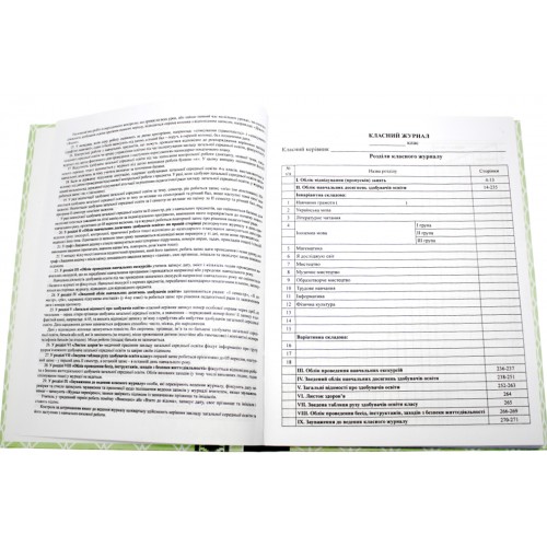 Класний журнал 1-4 класів тв.обкл. 272ст.(10)