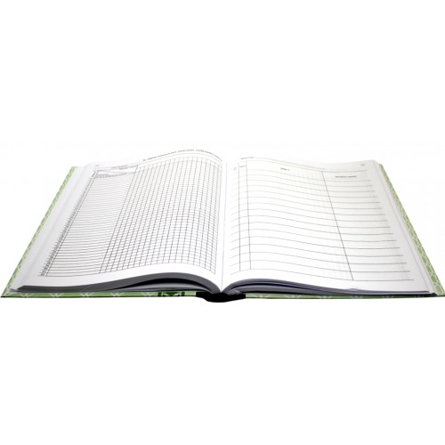 Класний журнал 1-4 класів тв.обкл. 272ст.(10)