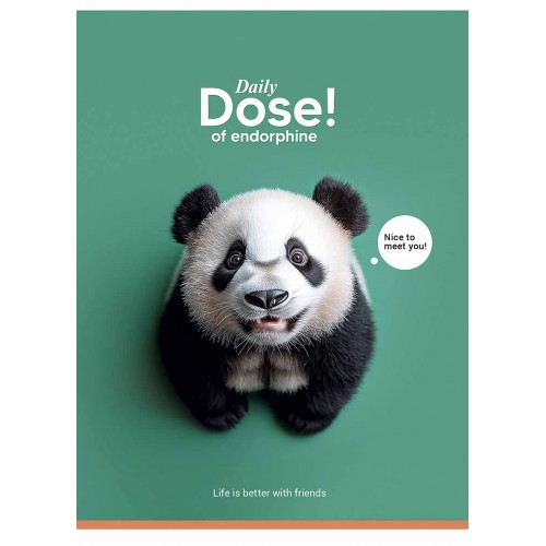 Блокнот А5 80арк. кліт. карт. "Student" мат. №A5-080-5253K/Школярик/(8)(144)