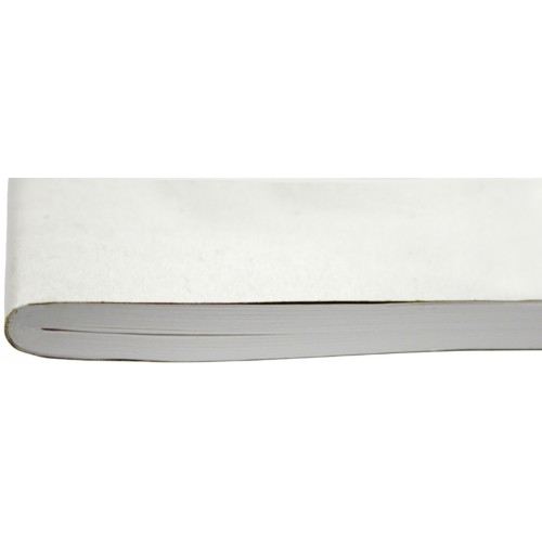 Журнал Головна книга А4 100арк офс №32625