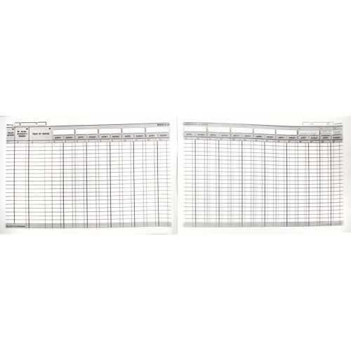 Журнал Головна книга А4 100арк офс №32625