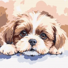 Картини по номерах "Миле цуценя" 20х20см №HH8033/Strateg/