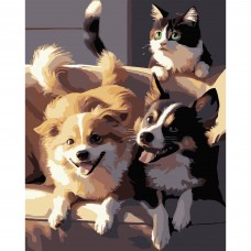 Картини по номерах "Дві собаки і кіт" 40х50см №AH1190-17/Strateg/