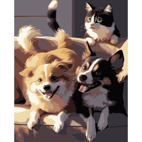 Картини по номерах "Дві собаки і кіт" 40х50см №AH1190-17/Strateg/