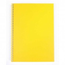 Блокнот пруж. А5 80арк. кліт. пласт. "Economix" №N20220-05