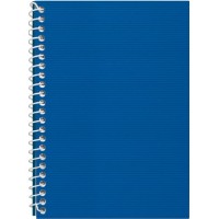 Блокнот пруж. бок. А5 48арк. кліт. пласт. обкл.,синій №E20302-02/Economix/(1)(80)