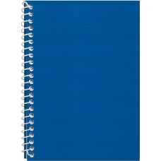 Блокнот пруж. бок. А5 48арк. кліт. пласт. обкл.,синій №E20302-02/Economix/(1)(80)