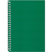 Блокнот пруж. бок. А5 48арк. кліт. пласт. обкл.,зелений №E20302-04/Economix/(1)(80)