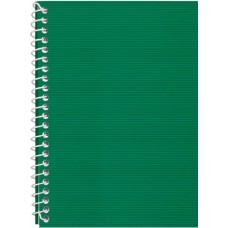 Блокнот пруж. бок. А5 48арк. кліт. пласт. обкл.,зелений №E20302-04/Economix/(1)(80)