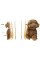 Пазли 3D "Cartonic" Maltipoo
