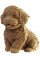 Пазли 3D "Cartonic" Maltipoo