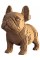 Пазли 3D "Cartonic" Bulldog Puppy