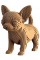Пазли 3D "Cartonic" Chihuahua Puppy