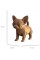 Пазли 3D "Cartonic" Chihuahua Puppy