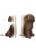 Пазли 3D "Cartonic" Labrador Puppy