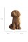 Пазли 3D "Cartonic" Labrador Puppy