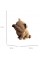Пазли 3D "Cartonic" Maneki Kitten