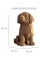 Пазли 3D "Cartonic" Puppies Trio